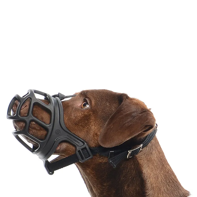 Buster Extreme Munkorg 1 Reapris