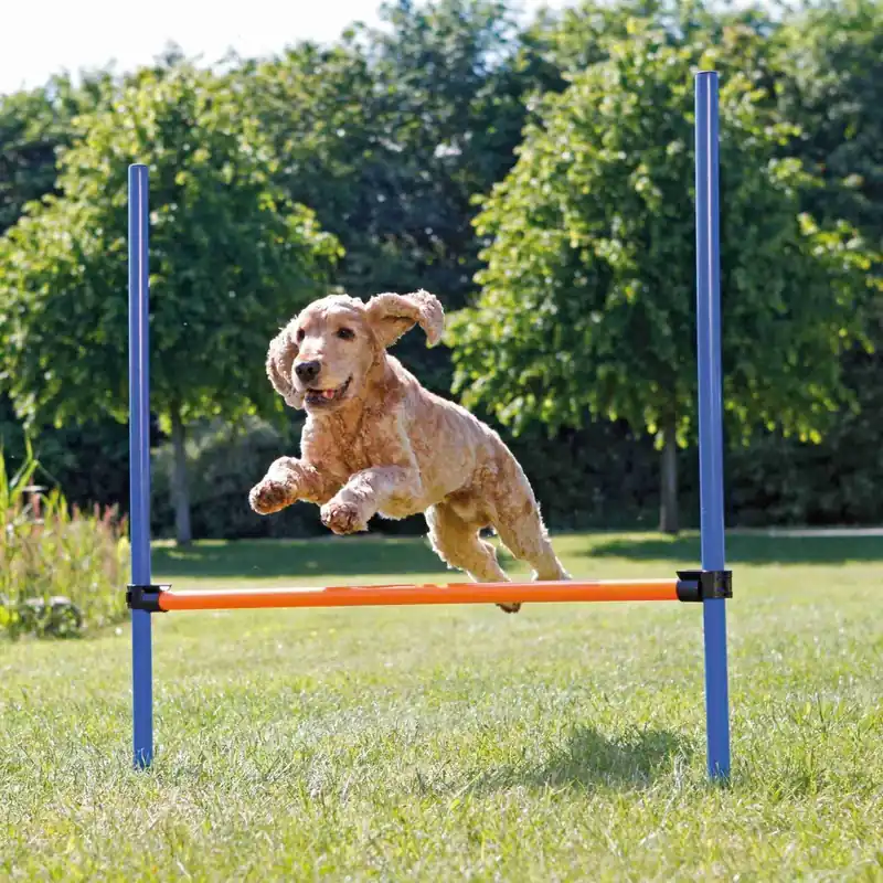 Agility Hopphinder Plast 123 x 115 cm Endast idag