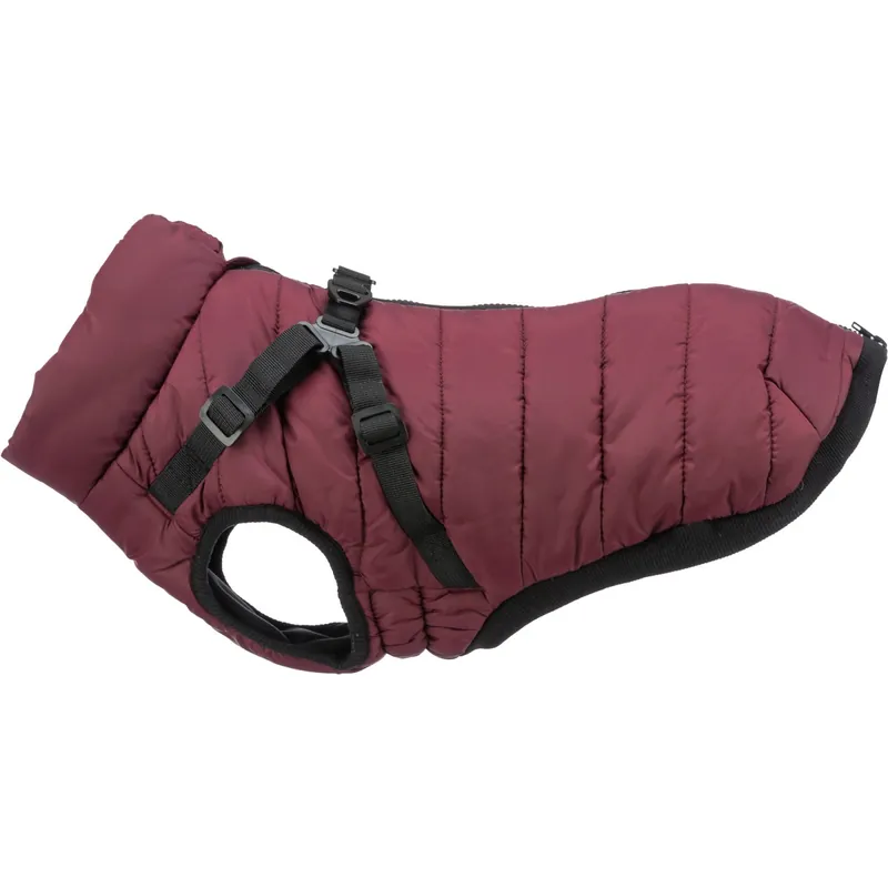 Vintertäcke med sele Pirou, sangria XXS 24 cm Populär