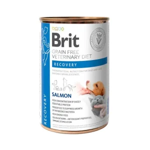 Endast denna vecka Brit GF Vet Diets Dog + Cat Can Recovery 400 g