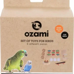 Begränsat erbjudande Ozami Fågelleksak Cirkus Kit
