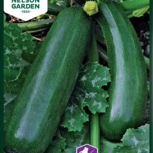 Premium Squash, Diamant F1