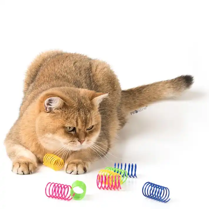 Fun Spring Cat Toy 8-pack Outlet