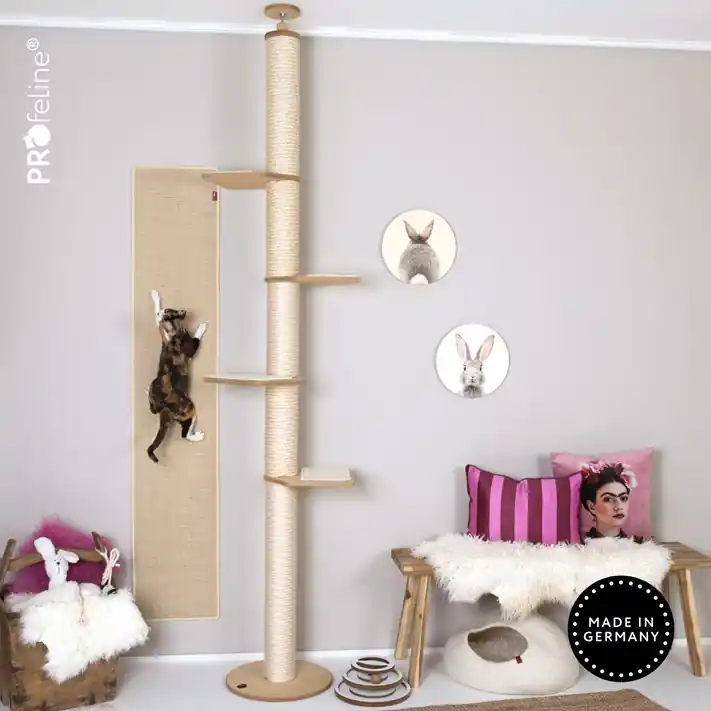Endast denna vecka Wall - Climbing Carpet Beige
