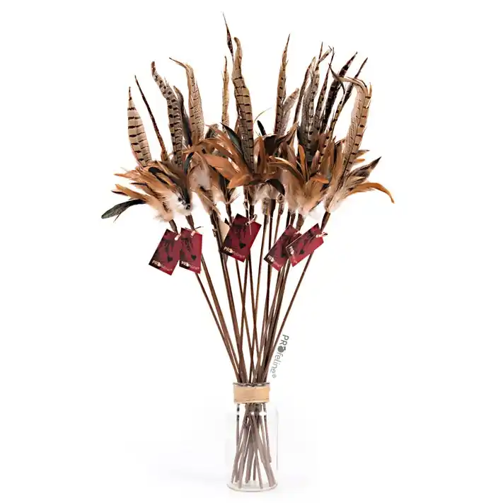 Profeline Federwedel / Cat Teaser Pheasant Feather Populärt val