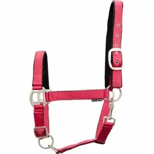 Snabb frakt Grimma Lea Med Neoprenfoder Cerise Pony