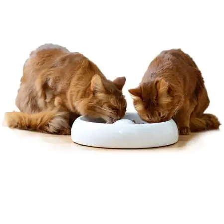 Lucky-Kitty kattmatskål keramik Large - rabatterat ex Begränsad tid