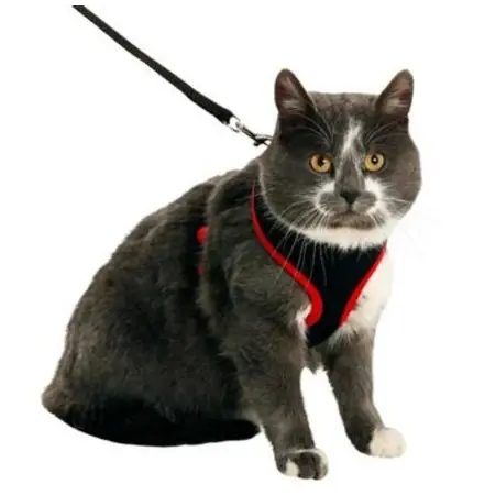 Kampanjpris Original Harness Svart med röd söm