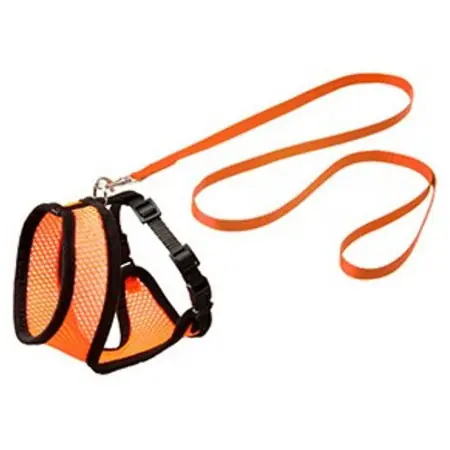 Populär Original Harness Orange med svart söm