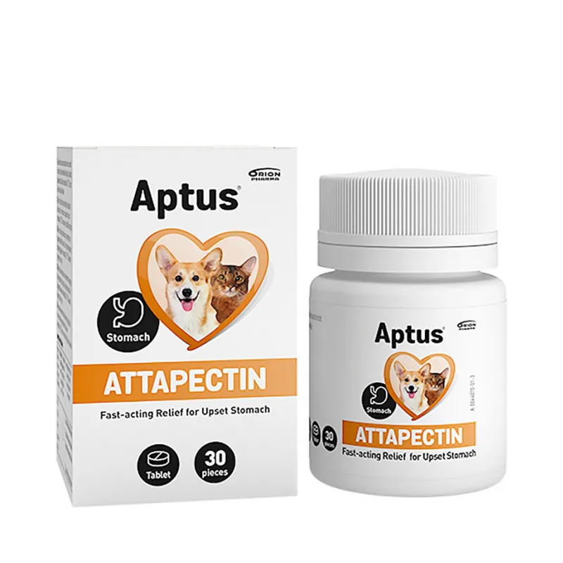 Aptus Attapectin Tabletten 30 Tabletten Begränsat antal