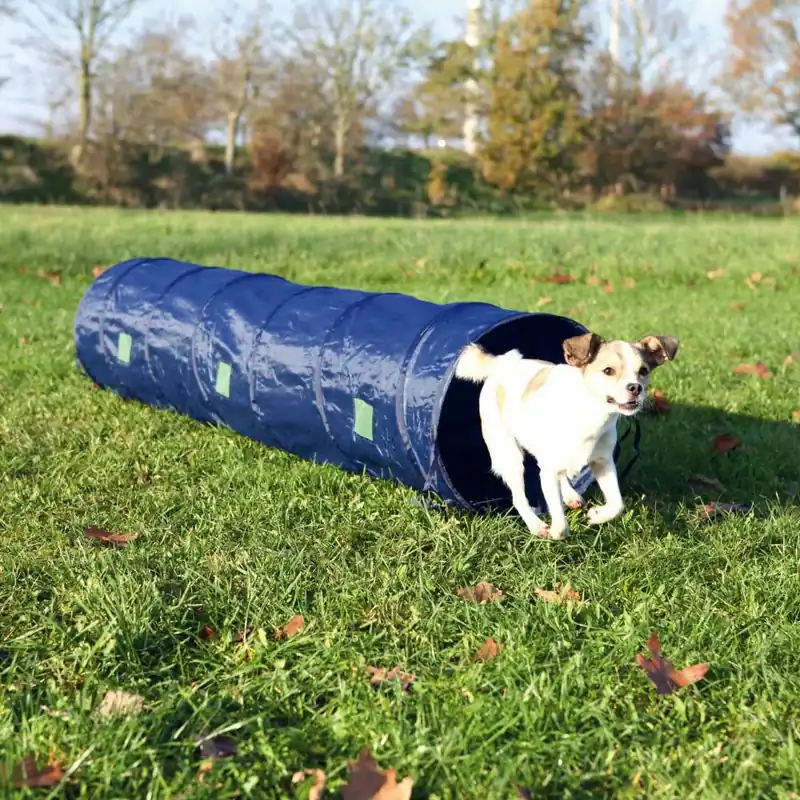 TRIXIE Agility Tunnel 2 m Billigare