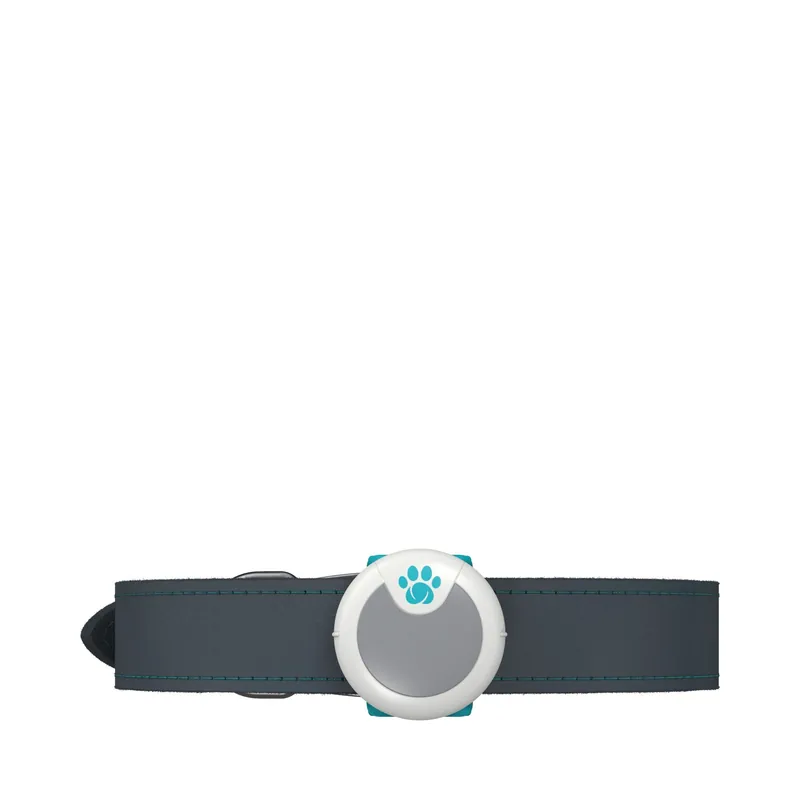 Expressleverans Sure Petcare Animo Activity Tracker