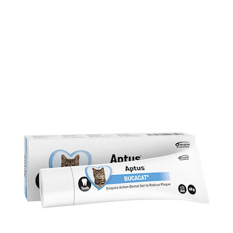 Aptus Bucacat-Zahngel 45 g Kundfavorit