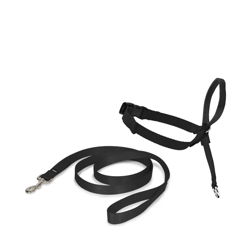 PetSafe Easy Walk Headcollar S (Up to 11 kg) Köp online