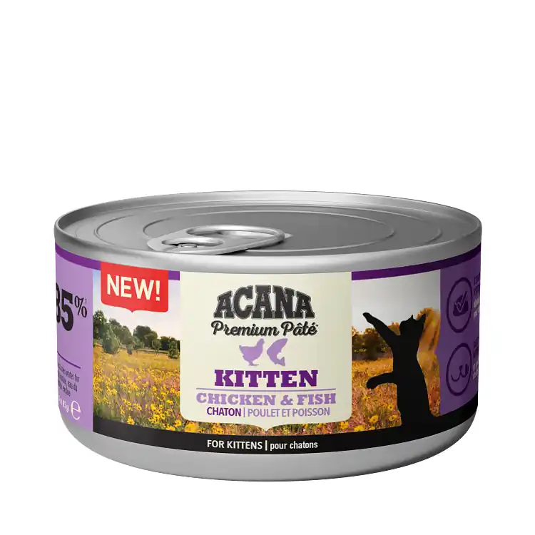 Acana Cat Premium Paté Kitten Chicken & Fish 1x85 g Nyhet