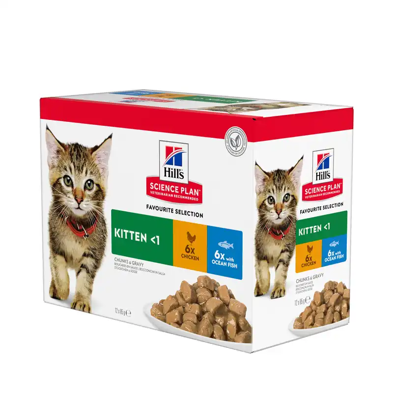 Sista chansen Hill's Pet Nutrition Hill's SCIENCE PLAN Kitten -märkäruoka kissalle 12x85 g