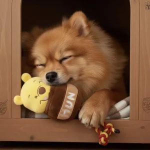 Nedsatt pris Nalle Puh Hundleksak Dental Rope