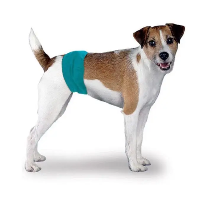 Nyhet Simple Solution Hanhund Hygienbyxor SMALL