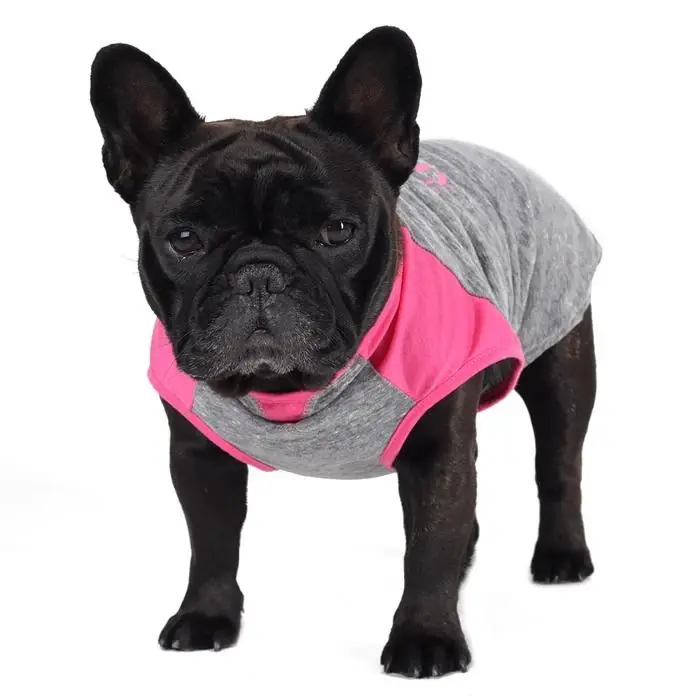 Go Fresh Hundtröja i Grå och Rosa XX-SMALL Endast denna vecka