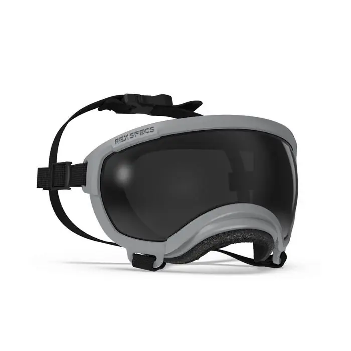 Outlet Hundglasögon REX Specs V2 Sol & Skyddsglasögon SMALL Gallatin Gray