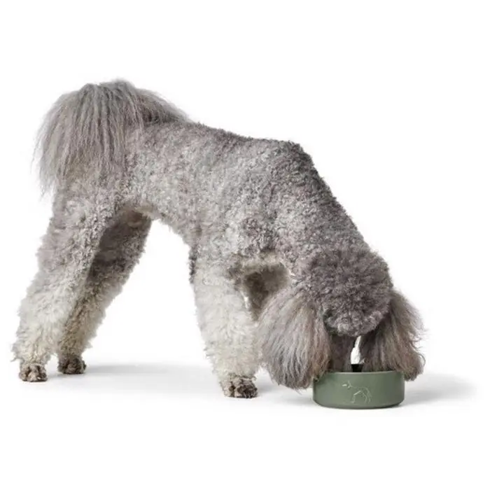 Beställ idag Hunter Keramik Hundskål Design Osby Khaki X-SMALL