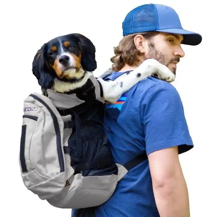 K9 Sport Sack AIR PLUS2 Hund Ryggsäck Hundar på Tur GREY SMALL Lägg i varukorgen