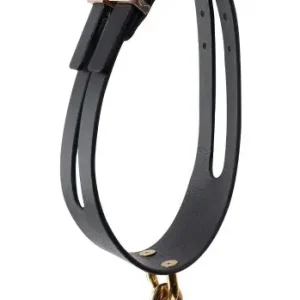 GP Premium Collar Leash Set Outlet