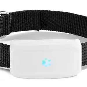 Beställ nu GPS för katt och hund mini