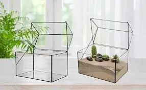Stort Geometriskt Glasterrarium med Lock 22 x 15,2 x 19 cm Reapris