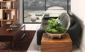Reapris biOrb AIR 60 Svart – Automatiskt Terrarium