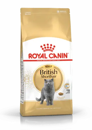RC British Shorthair Adult 2 kg Premium