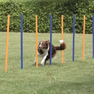 Agility 12st slalompinnar, 115cm Lägg i varukorgen