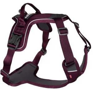 Rumble Harness, Purple M Rea