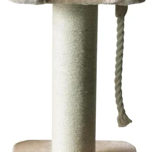 Companion Klös Lion S 60x60x100cm Expressleverans