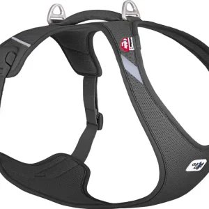 Curli Belka Comfort V2 Sele Black XL: 55,5-62,7 cm (11,5-18,0 kg) Kampanjpris
