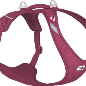 Curli Belka Comfort V2 sele Ruby 3XL: 70,2-78,9 cm (22,0-31,0 kg) Nedsatt pris
