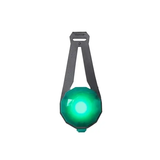 Basic Jewel LED-Hundlampa USB (Grön) Kampanj