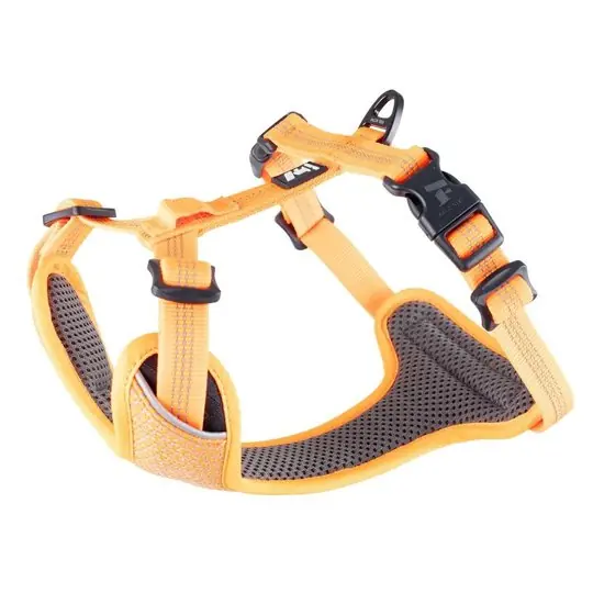 Feel Active Reflective Hundsele Orange (XS) Bästa pris