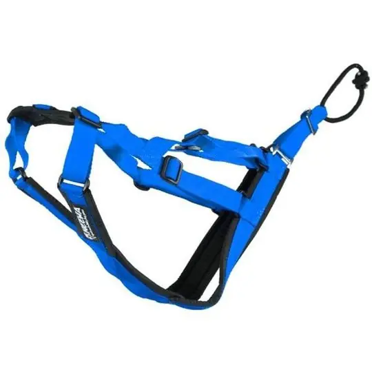 Neewa Sled Dog X-Back Gul (Blå Medium) Trygg betalning