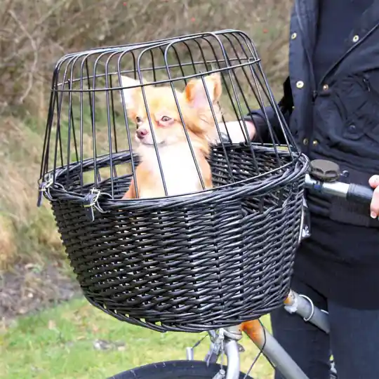 Trixie Cykelkorg i Pil med Galler Svart Kundfavorit