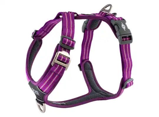 prisnedsättning Comfort Walk Air Harness - Purple Passion / XS