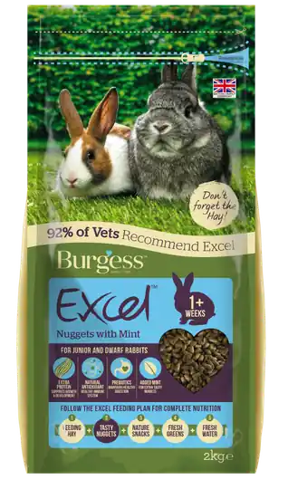 Excel Kaninfoder Mynta för Unga & Dvärgkaniner - 2 kg Begränsat antal