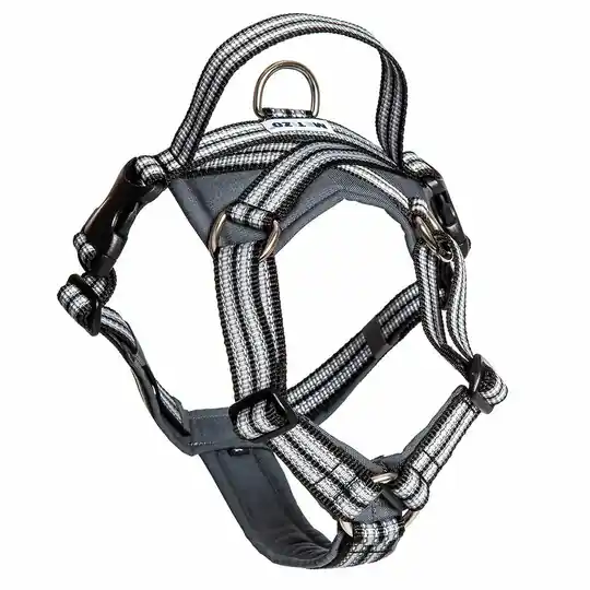 Premium Future Walking Sele - XXS / Svart