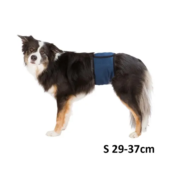 Endast idag Hanhundsskydd, S