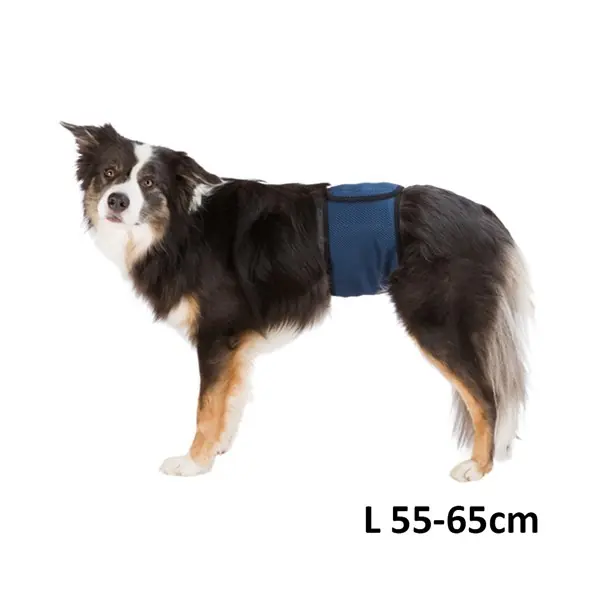 Hanhundsskydd, L Fynd