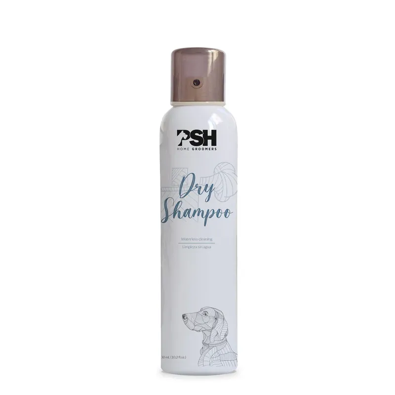 Endast idag PSH Home Dry Shampoo torrschampo - 300 ml