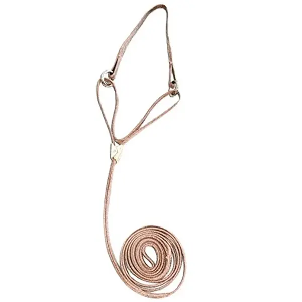Begränsad tid Resco utställningskoppel Martingale halvstryp - Vete 20 cm (8")