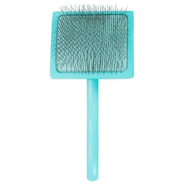 Chris Christensen Home Care Big G Teal - large Rabatter